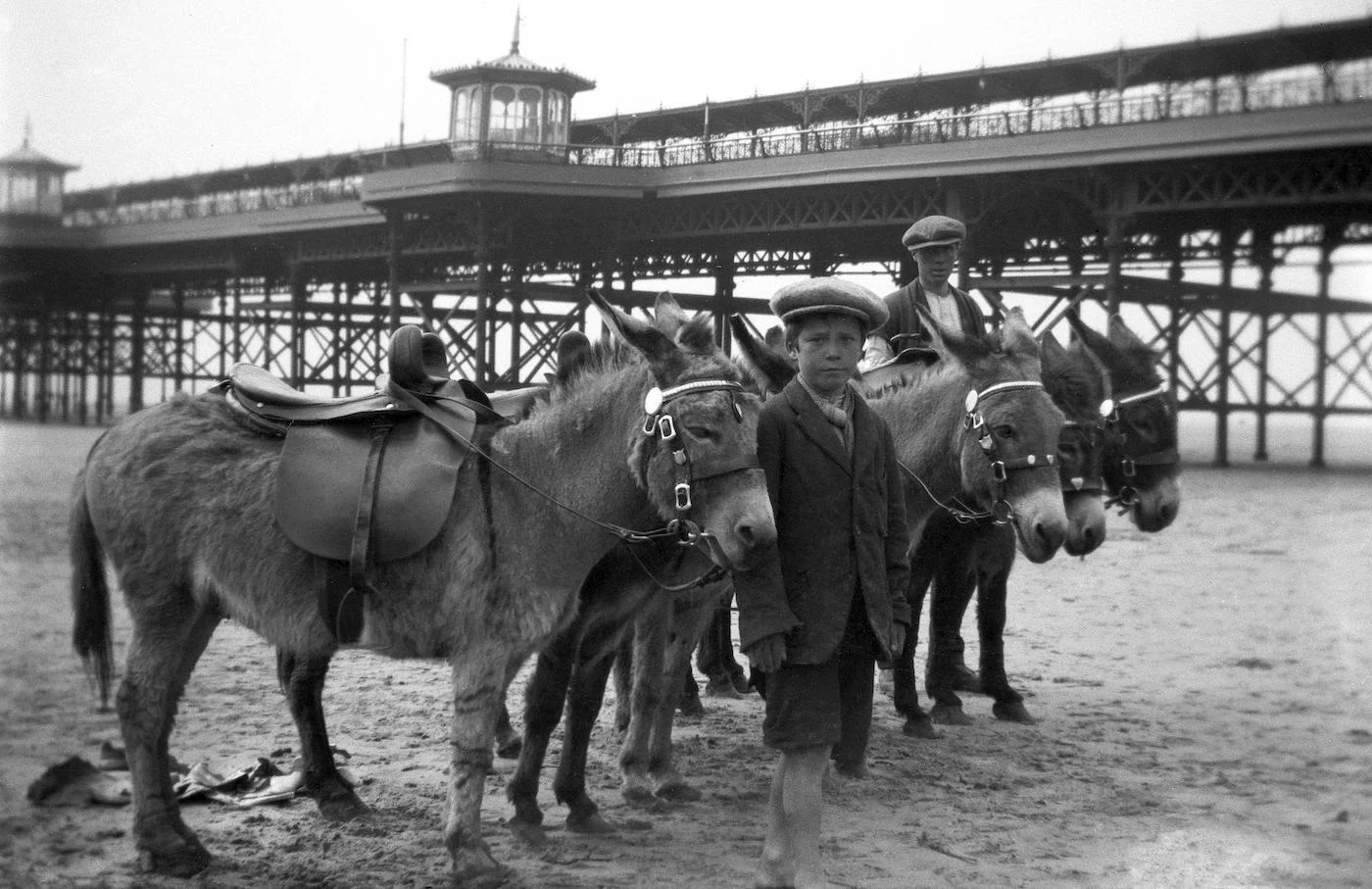 A young boy and young man, both wearing cloth caps, stand with their donkeys and wait for customers. England, UK, 1920s.
