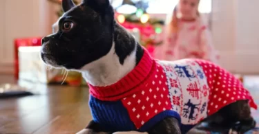 RichLegg / Getty Images