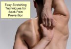 Easy Stretching Techniques for Back Pain Prevention