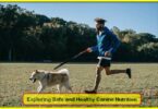 Exploring Safe and Healthy Canine Nutrition