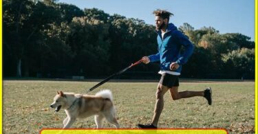 Exploring Safe and Healthy Canine Nutrition