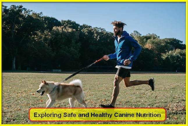 Exploring Safe and Healthy Canine Nutrition
