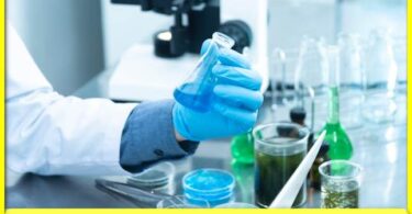 Probing the Depths: Living Robots in Scientific Research