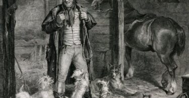 Image source: BBC News