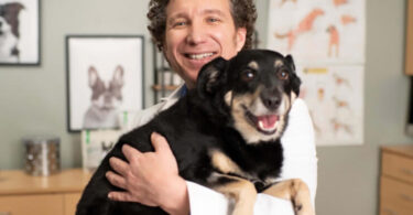 If Your Dog Eats Dry Food Most Dog Owners Don't Know This